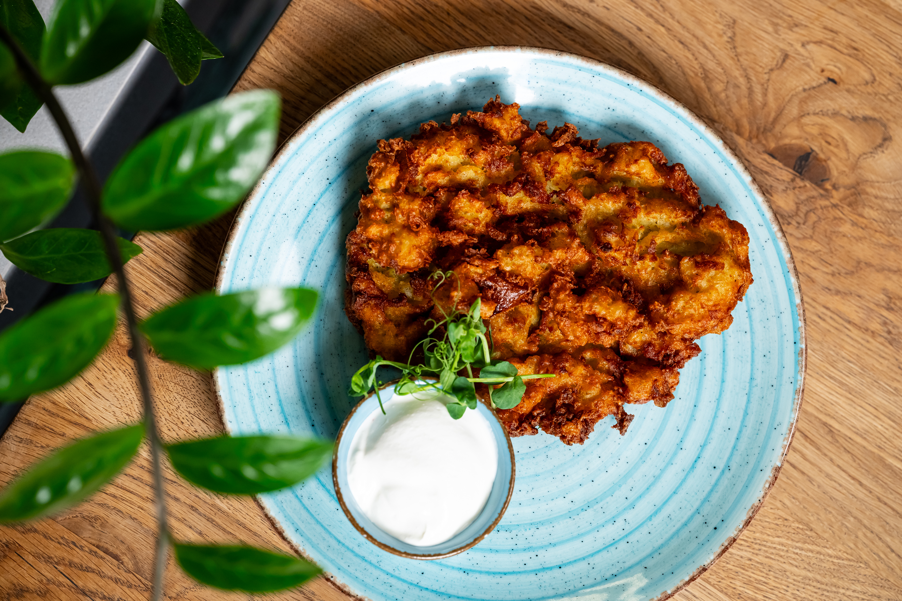 Potato pancakes with sour cream